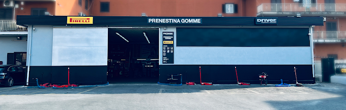 prenestina gomme negozio